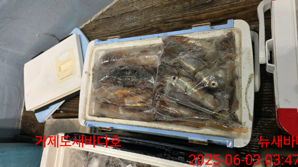 9ffed522db5904900e1adfb2709a8f17.jpg