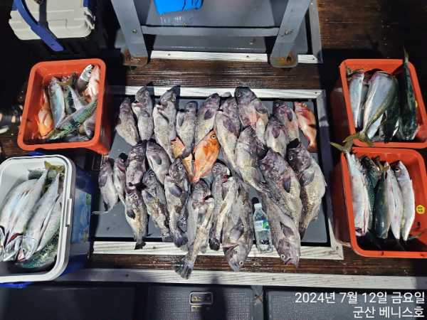 KakaoTalk_20250629_135412206_01.jpg