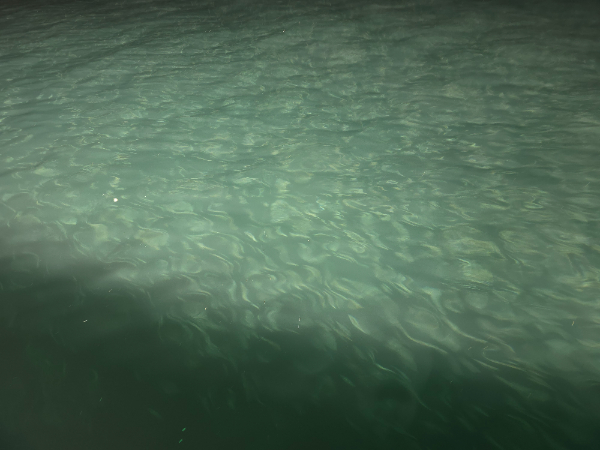 a2a6d106f4bcd19566b80ba04a54b7dd.jpg