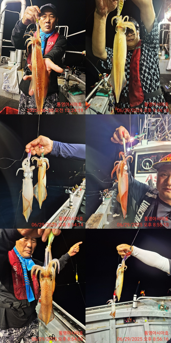 KakaoTalk_20250630_054249148-tile.jpg