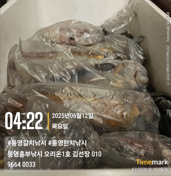 a3ff8794834fcd41db8eb51896cdc9ee.jpg