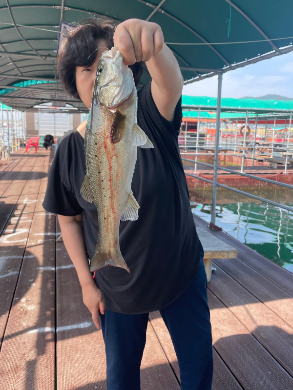IMG_3004.jpeg