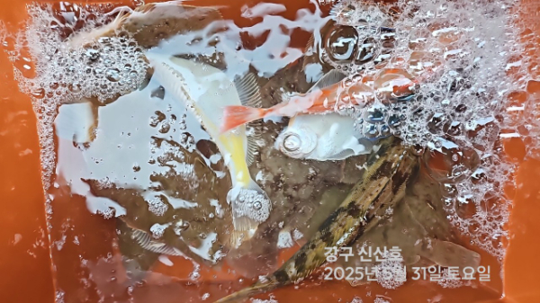 신신낚시 강구점 신신호_사진_20250531_17.jpg