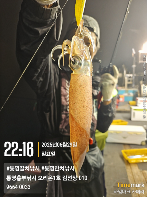 b88d08a7eb16fbfddb1cf88e678082f4.jpg