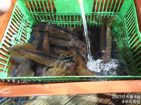 IMG_0839.jpeg