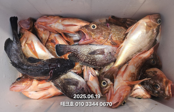 KakaoTalk_20250620_094105407_06.jpg