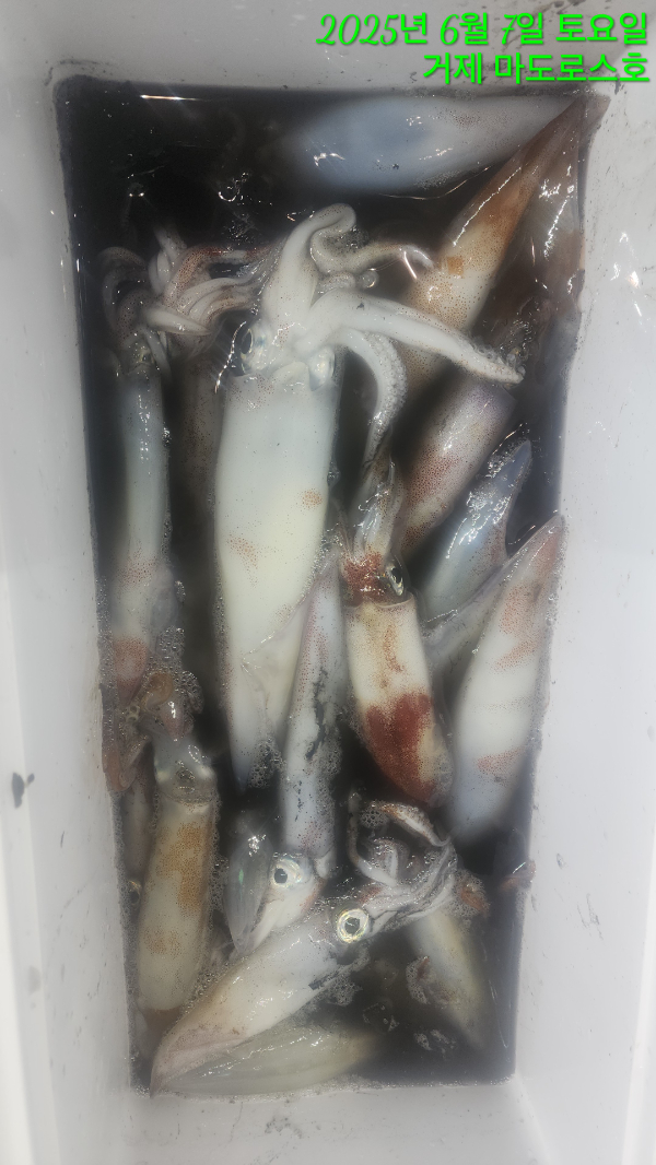 c80e60fa8922cb616dead696c9718875.jpg
