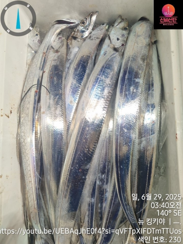 a_2g6Ud018svc1rinsi5cqk9ly_wr3ref.jpg
