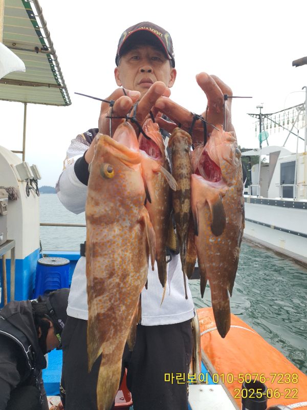 IMG_20250622_170245.jpg