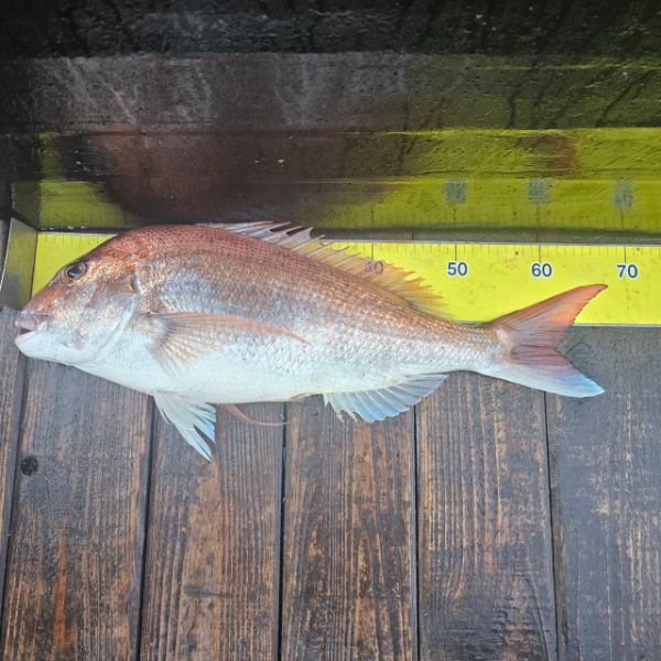 마검포 대한호(VIP)_사진_20250622_4.jpg