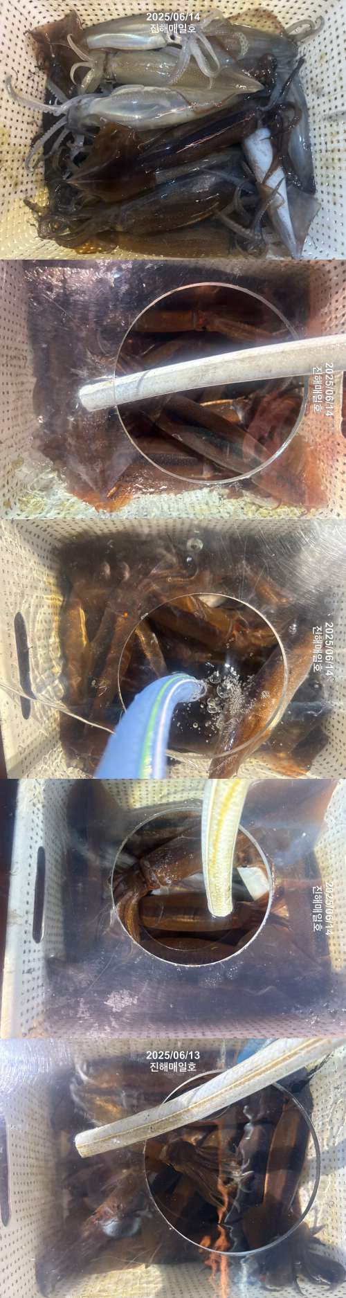 왕한치2.jpg