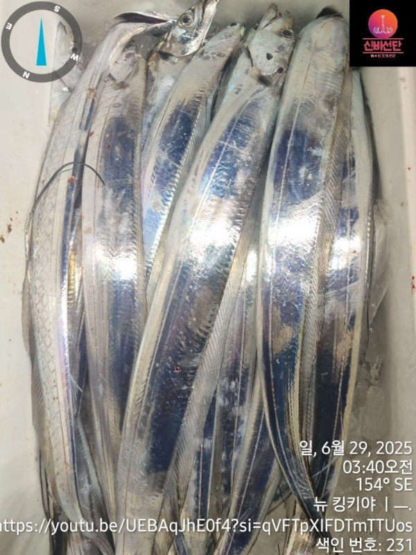 a_5g6Ud018svc1aoevikihy68q_wr3ref.jpg
