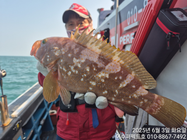d39864ec57edf56991fca67e7c62dfb5.jpg