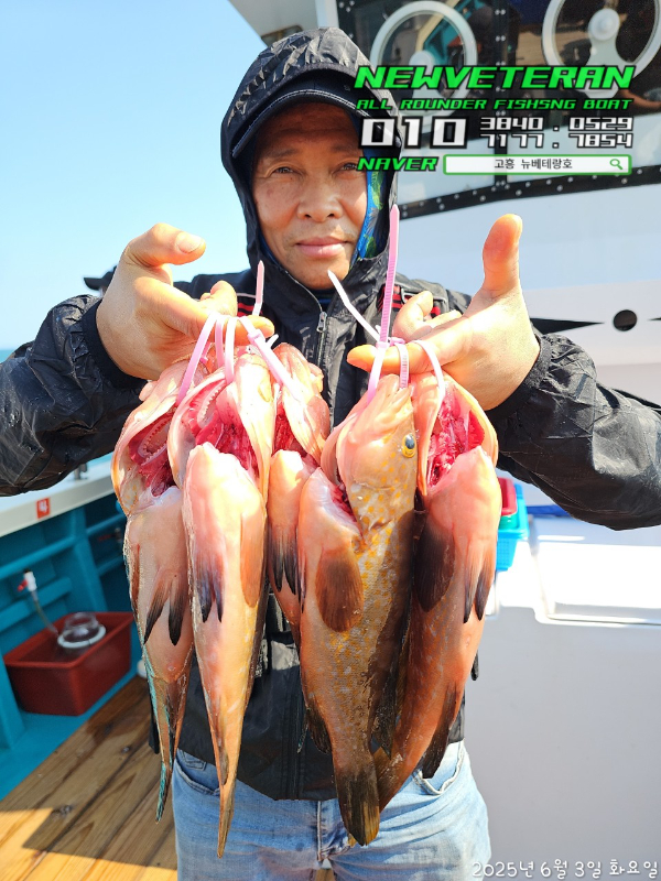 고흥뉴베테랑호_사진_20250603_15.jpg