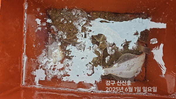 신신낚시 강구점 신신호_사진_20250601_16.jpg