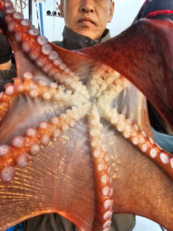 0B110164-972E-4CE8-A1C7-BB9F5D24E24A.jpeg