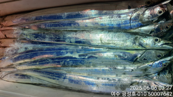 KakaoTalk_20250606_104952146_10.jpg