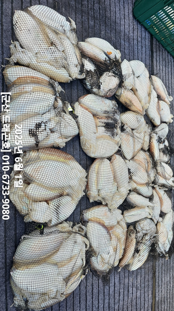 KakaoTalk_20250601_190618227.jpg