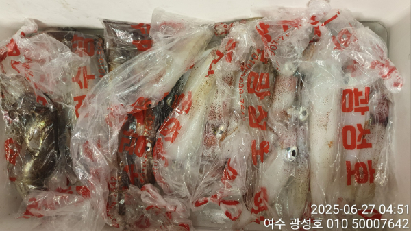 KakaoTalk_20250627_135810656_16.jpg