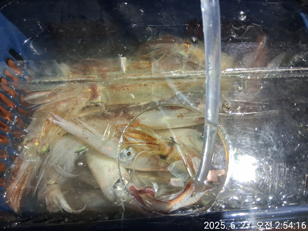 ef1ceea2c7505b125d5cbd65b9e85b4d.jpg
