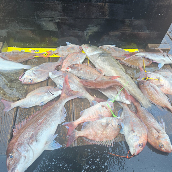 마검포 대한호(VIP)_사진_20250623_3.jpg