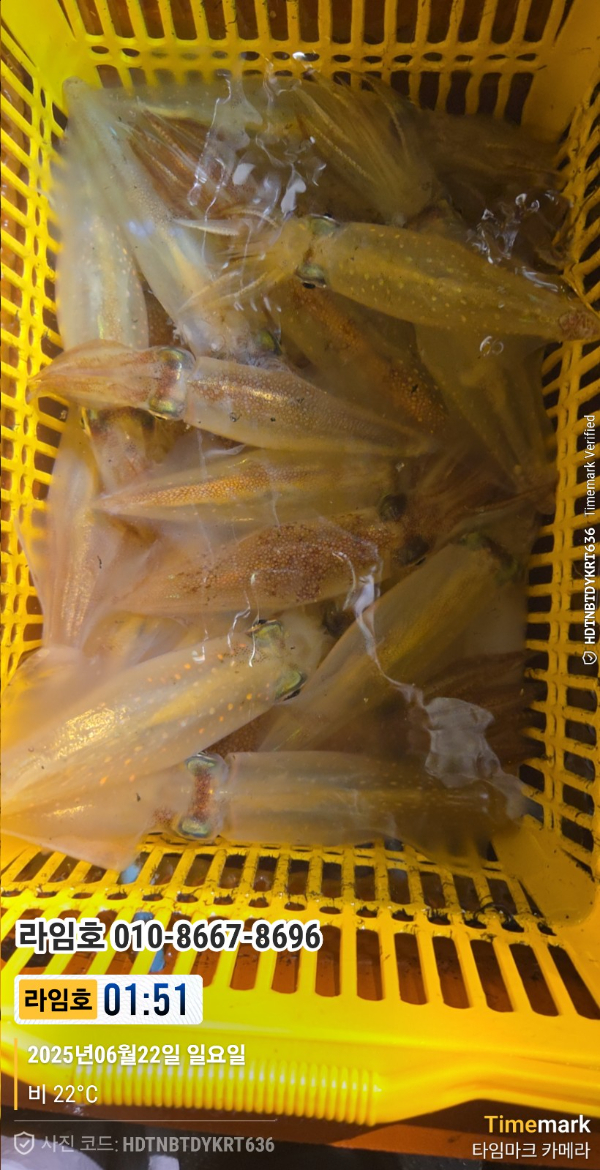 2025-06-22 01.51.04__(제목-라임호)_(라임호 010-8667-8696).jpg