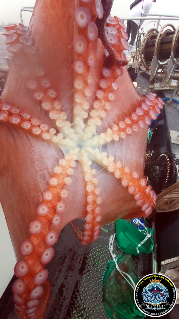 KakaoTalk_20250615_164407969_20.jpg