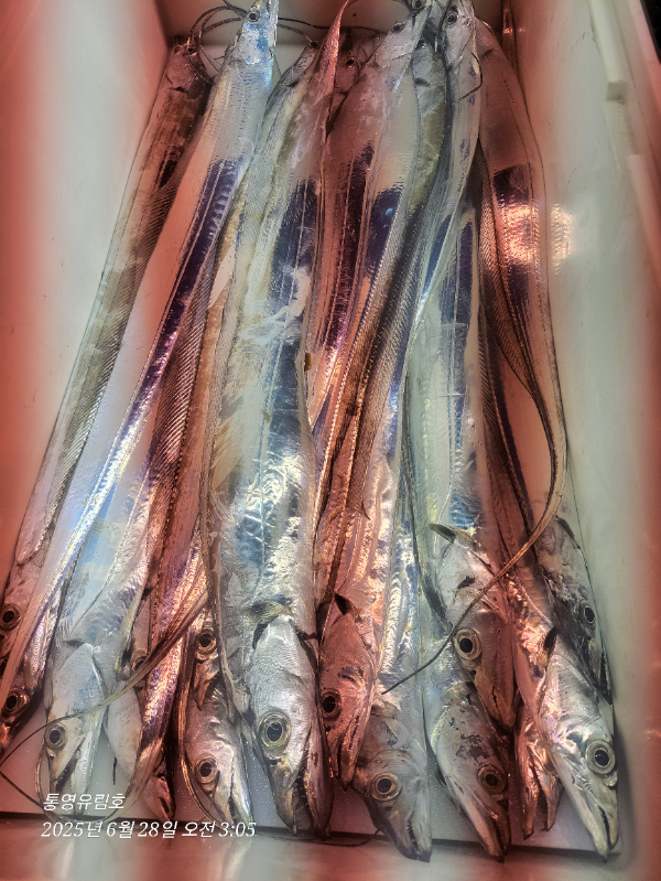 fddc0641154f19898e527a809e01121e.jpg