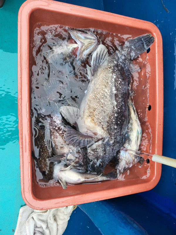KakaoTalk_20250706_202148858.jpg