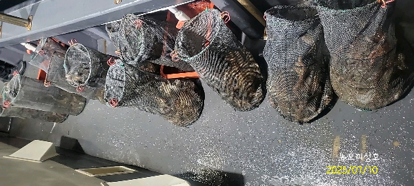 DateCamera0710001046.jpg