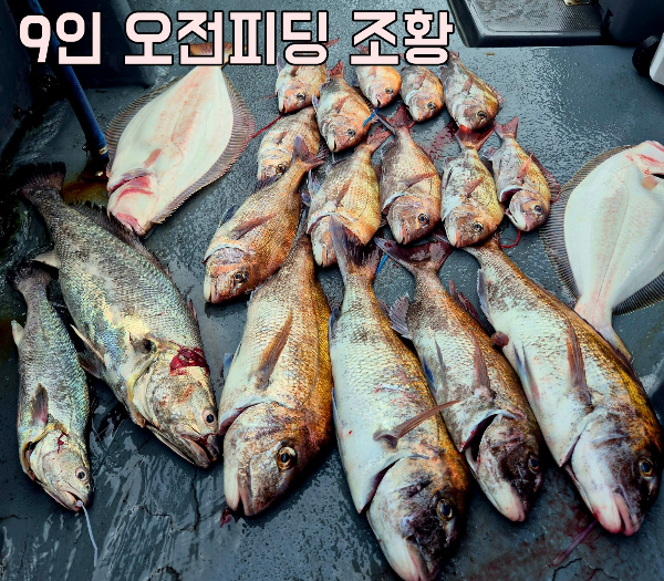 KakaoTalk_Image_2025-07-04-13-34-52_007.jpeg