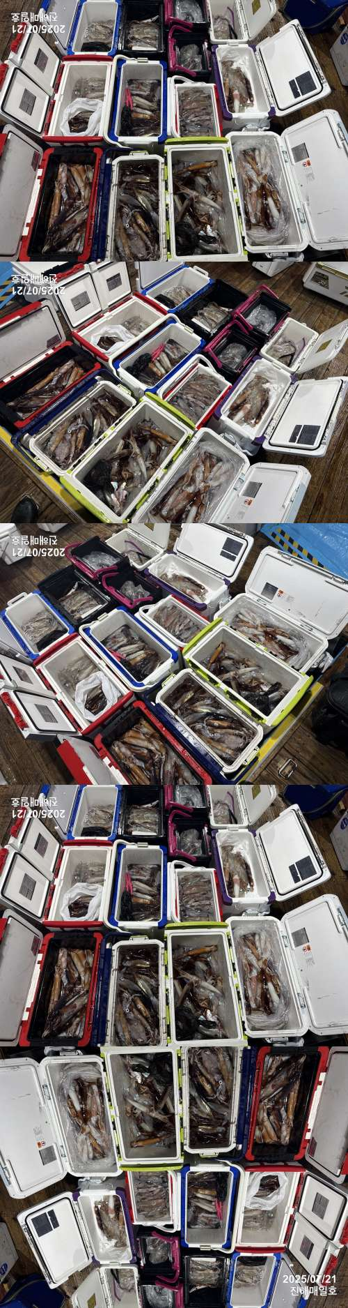 왕한치3.jpg