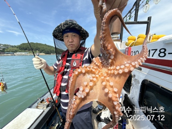 7월12일문어 (5).jpg