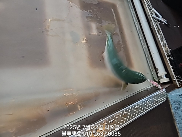 20250722_055135.jpg