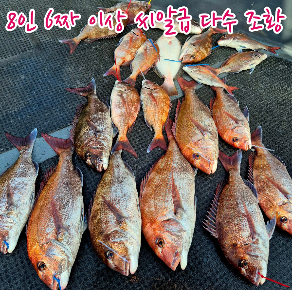 batch_KakaoTalk_Image_2025-07-12-02-59-34_001.jpg