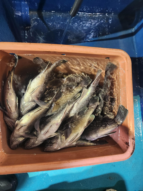 KakaoTalk_20250706_202222238_03.jpg