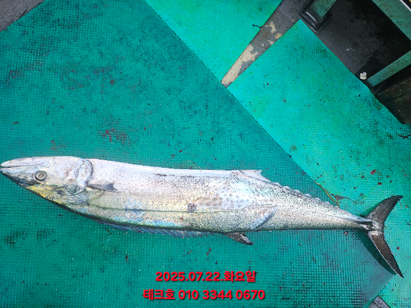 KakaoTalk_20250722_065047183_05.jpg