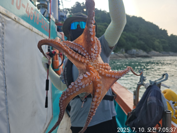 053080dbbeac277e72d8e0253f596184.jpg