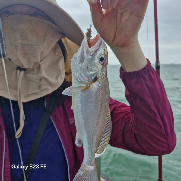 인천바다낚시 (9).jpg