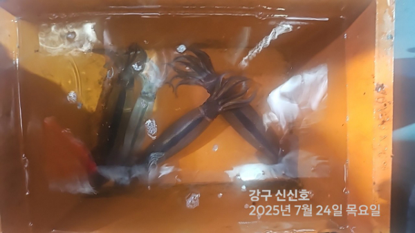 신신낚시 강구점 신신호_사진_20250724_21.jpg