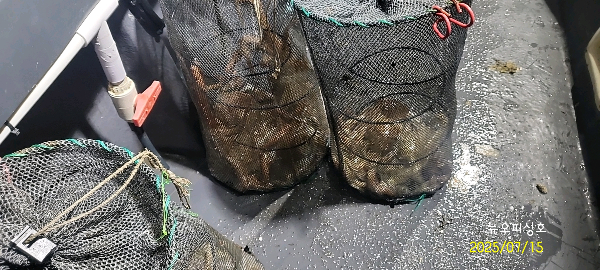 DateCamera0715024600.jpg