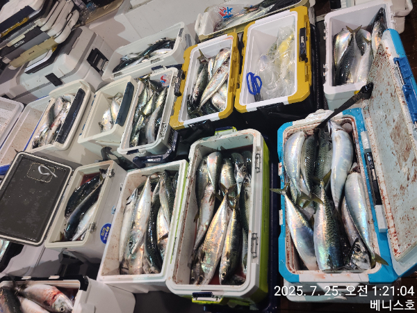 KakaoTalk_20250725_055614069_02.jpg