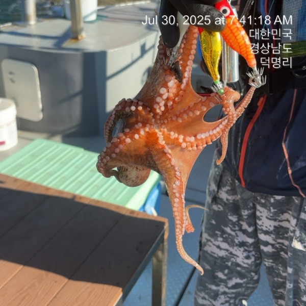 KakaoTalk_20250730_114026729_05.jpg