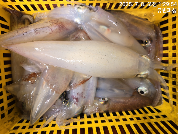 KakaoTalk_20250708_051219639_15.jpg