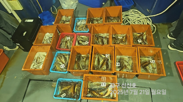 신신낚시 강구점 신신호_사진_20250721_3.jpg