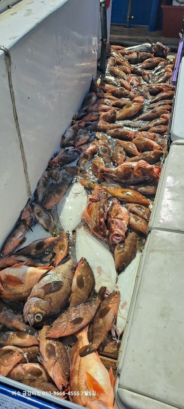 여수금강피싱_사진_20250705_8.jpg
