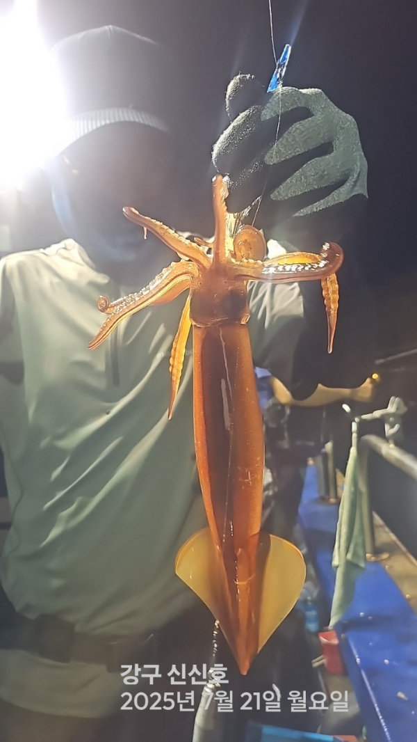 신신낚시 강구점 신신호_사진_20250722_2.jpg