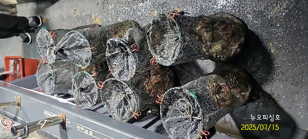 DateCamera0715024523.jpg