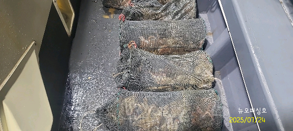 DateCamera0724223447.jpg
