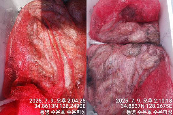 1752041909947-tile.jpg